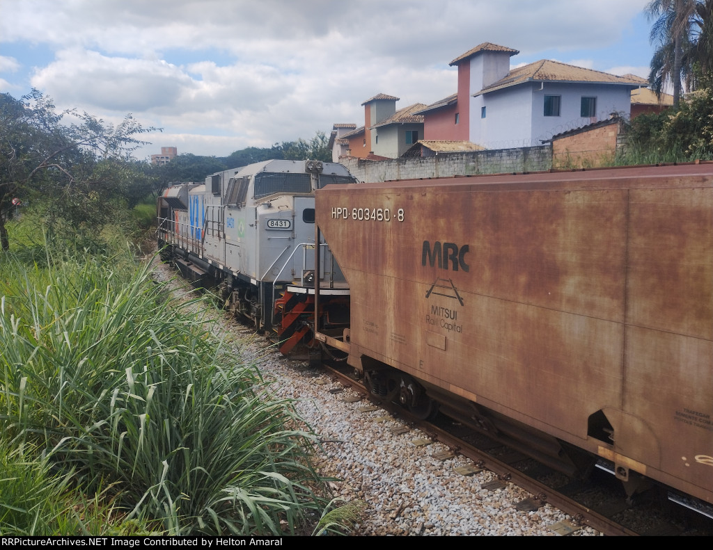 VLI 8431